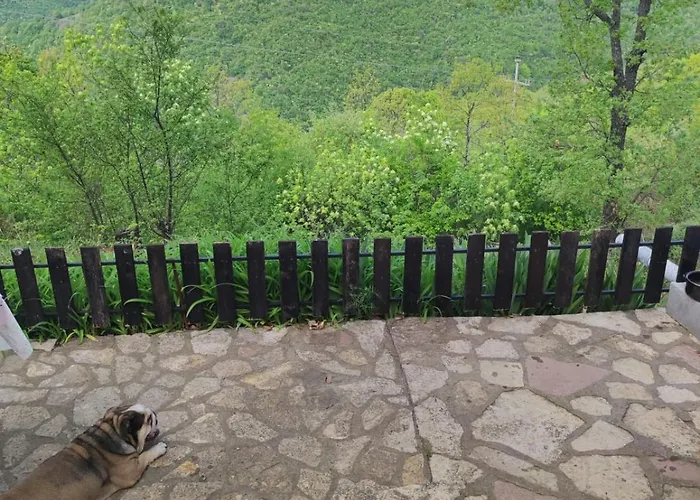 Fantastico * סקופיה